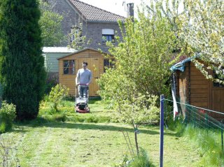 tondre la pelouse