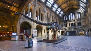 Musée d'histoire naturelle - LondresPlan d'une journée à Londres