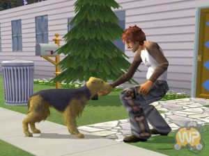 Les Sims 2 : Animaux & cie - PS2 (Electronic Arts - Maxis, 2006)