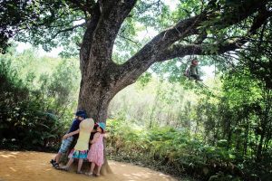vacances 2016 - Parc Defi Planet' - La forêt de farfadets