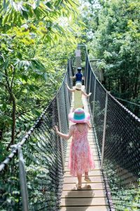 vacances 2016 - Parc Defi Planet' - La forêt de farfadets