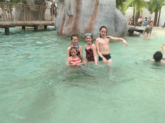 Les enfants s'amusent dans l'Aquarelle, la piscine intérieure du Camping Yelloh Village "Les Petits Camarguais".
