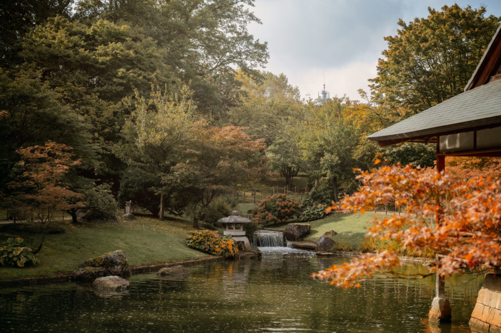 Le Jardin Japonais de Hasselt - Japanse Tuin - Petite Snorkys Photography - Quena SCS, 2023